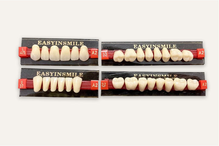 Acrylic Denture Teeth A2/425 - DIY Denture Shop LLC ™