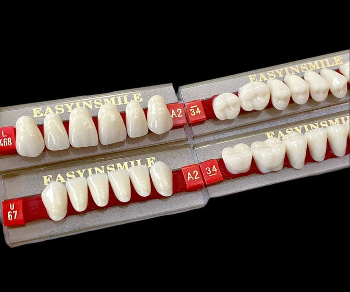 Acrylic Resin Artificial Teeth Size 468 - DIY Denture Shop LLC ™