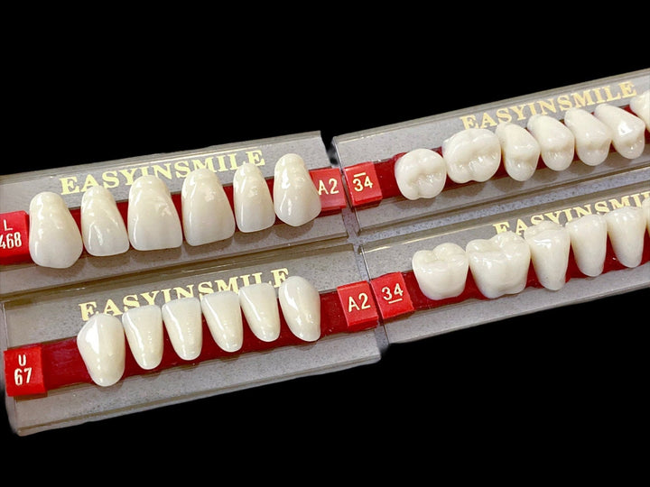 Acrylic Resin Artificial Teeth Size 468 - DIY Denture Shop LLC ™