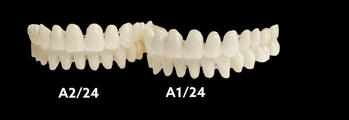 Acrylic Teeth For Crafting Denture on Stabilizing Wire - DIY Denture Shop LLC ™