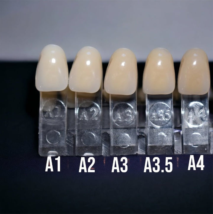 Acrylic Teeth For Crafting Denture on Stabilizing Wire - DIY Denture Shop LLC ™