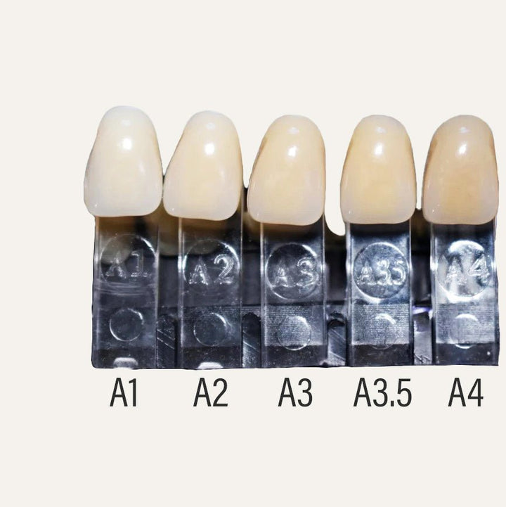 Acrylic Teeth For Crafting Denture on Stabilizing Wire - DIY Denture Shop LLC ™