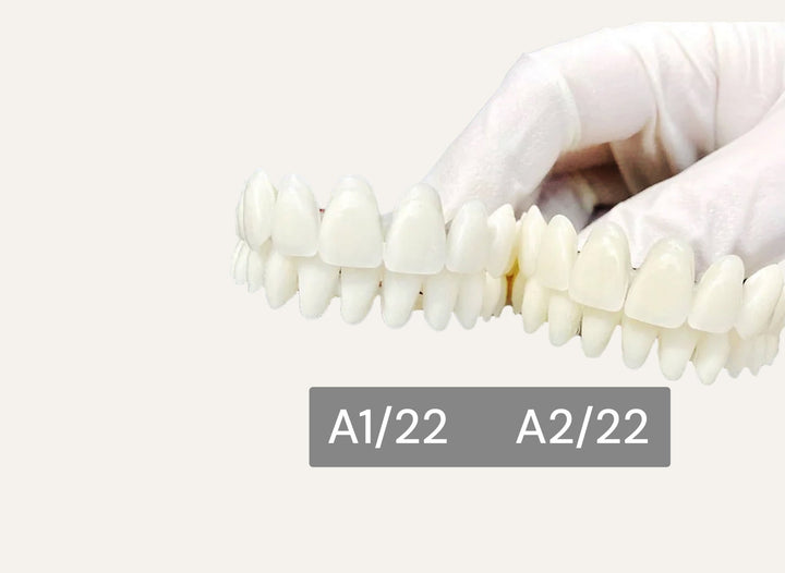 Acrylic Teeth For Crafting Denture on Stabilizing Wire - DIY Denture Shop LLC ™