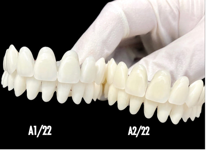 Acrylic Teeth For Crafting Denture on Stabilizing Wire - DIY Denture Shop LLC ™