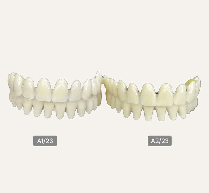 Acrylic Teeth For Crafting Denture on Stabilizing Wire - DIY Denture Shop LLC ™