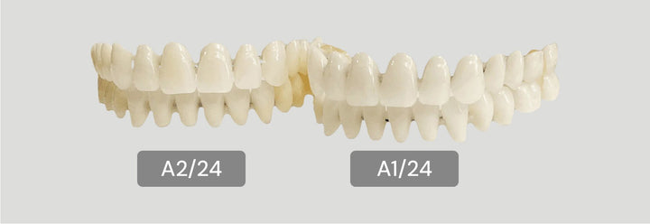 Acrylic Teeth For Crafting Denture on Stabilizing Wire - DIY Denture Shop LLC ™