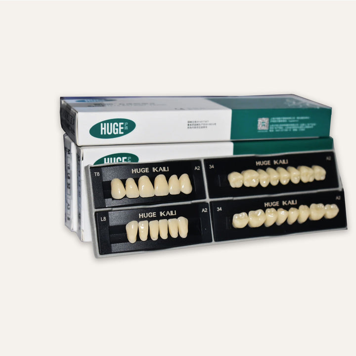 Acrylic Teeth Set Natural various sizes T8 T6 T4 - DIY Denture Shop LLC ™