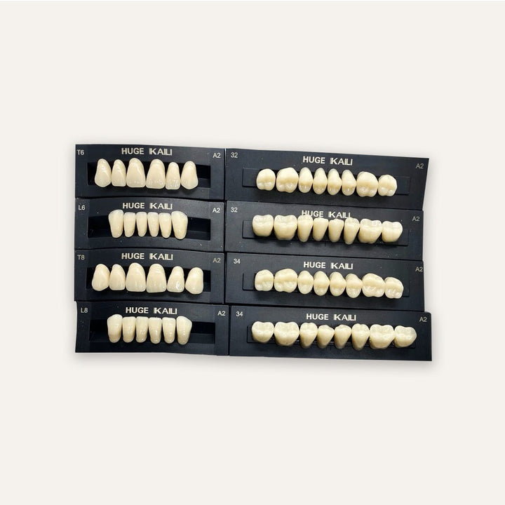 Acrylic Teeth Set Natural various sizes T8 T6 T4 - DIY Denture Shop LLC ™