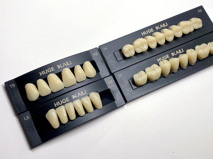 Acrylic Teeth Set Natural various sizes T8 T6 T4 - DIY Denture Shop LLC ™