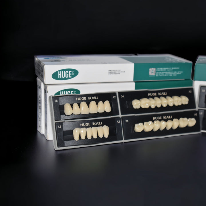 Acrylic Teeth Set Natural various sizes T8 T6 T4 - DIY Denture Shop LLC ™