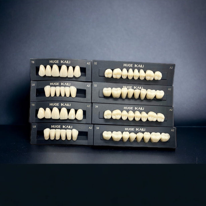 Acrylic Teeth Set Natural various sizes T8 T6 T4 - DIY Denture Shop LLC ™