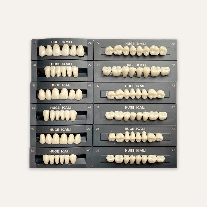 Acrylic Teeth Set Natural various sizes T8 T6 T4 - DIY Denture Shop LLC ™