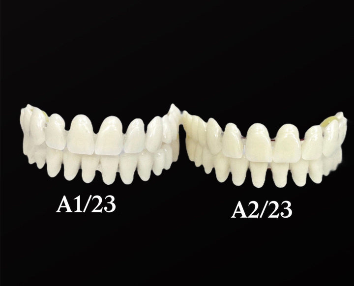 DIY Beginner Smile Kit/ Putty Impression Upper Lower Full Set/ Make Partial Everything You Need - DIY Denture Shop LLC ™