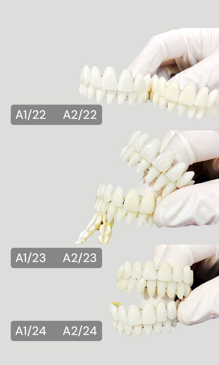 Full Set Acrylic Teeth Make Your Own Denture - DIY Denture Shop LLC ™