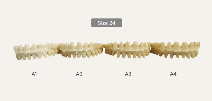 Full Set Acrylic Teeth Make Your Own Denture - DIY Denture Shop LLC ™