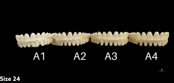 Acrylic Teeth For Crafting Denture on Stabilizing Wire