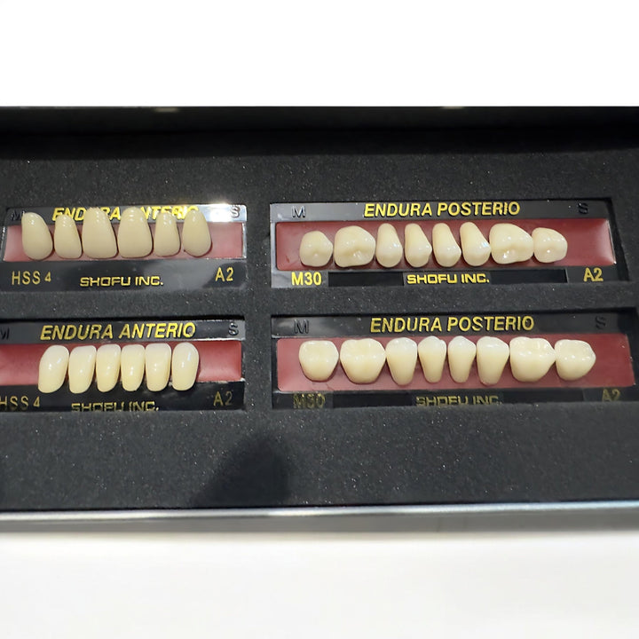 Premium Acrylic Resin Teeth - medium A2 Shade - DIY Denture Shop LLC ™