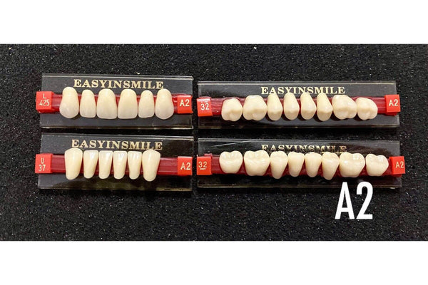 Acrylic Denture Teeth Set - A2 Shade Denture Teeth