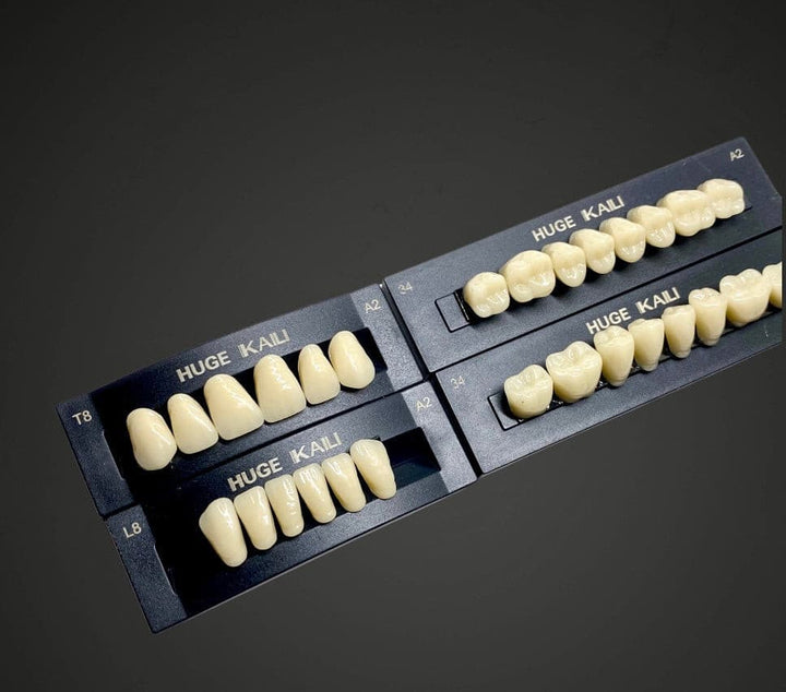 Acrylic Resin Teeth for Dentures 