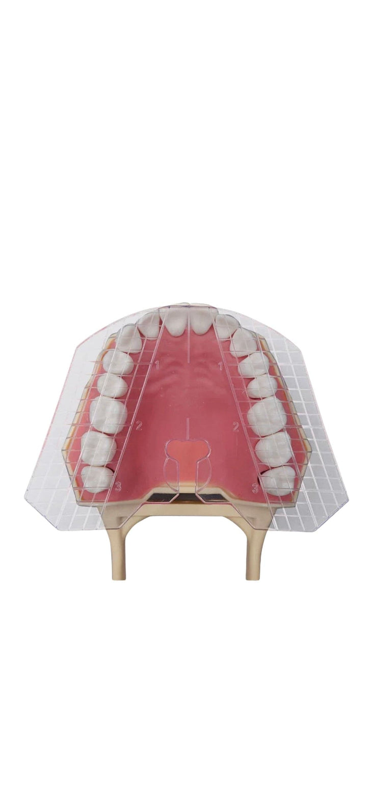 Dental Tooth Arrangement - DIY Denture Kit
